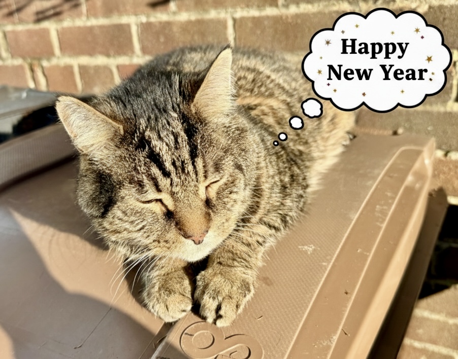 Happy New Year, Happy Blogoversary and Happy sunny day!