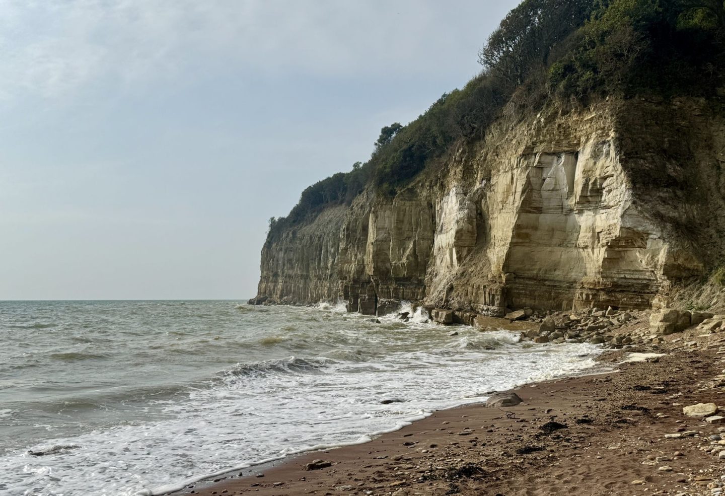An unexpected week at home for Hastings Battleaxe
